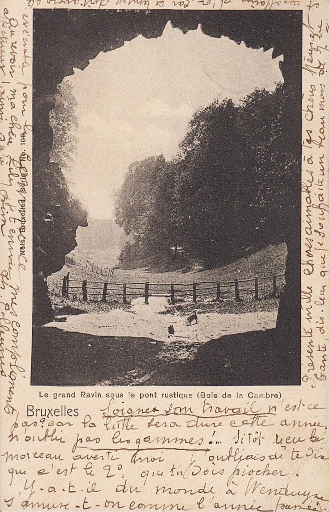 1903 - BELGIQUE - Bruxelles : Bois de la Cambre + BRUXELLES, Envoi, Avant 1920, Affranchie, Bruxelles (Capitale)