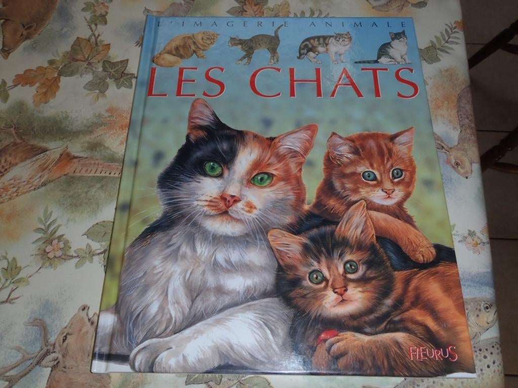 livre Les chats - imagerie animale - Fleurus, Livres, Enlèvement ou Envoi, Comme neuf, Chats