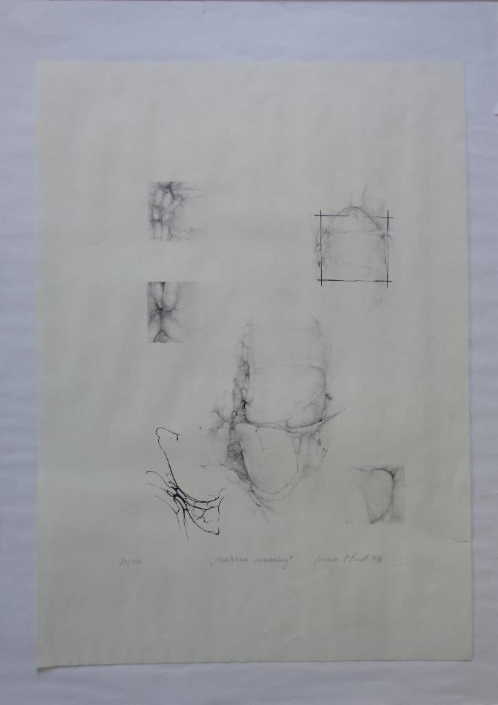 JACQUES 't KINDT / MEDITATIEVE VERZAMELING / LITHO / 70x50cm, Antiquités & Art, Art | Lithographies & Sérigraphies, Enlèvement ou Envoi