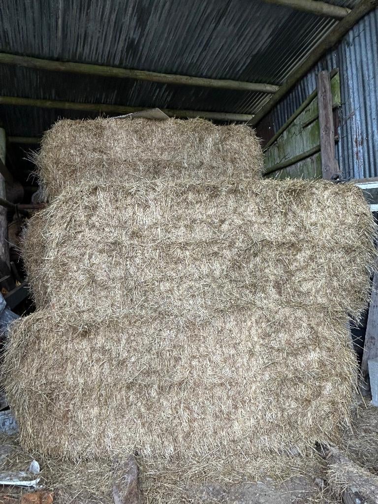 foin 2025, Enlèvement, Autres espèces