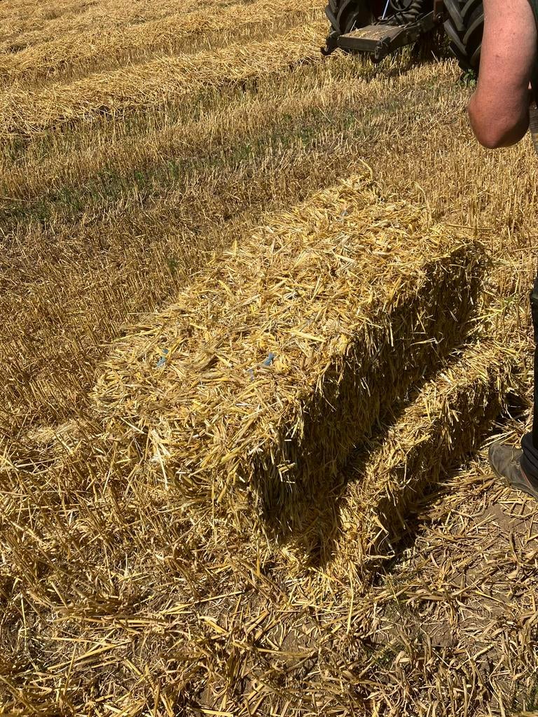 Kleine balen stro, Dieren en Toebehoren