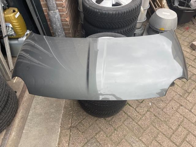 CAPOT Fiat 500 (312) (01-2007/12-2012), Dhr. R. de Gouw, Utilisé, Fiat, De Bloemendaal 21 21
5221 EB  'S HERTOGENBOSCH, NL