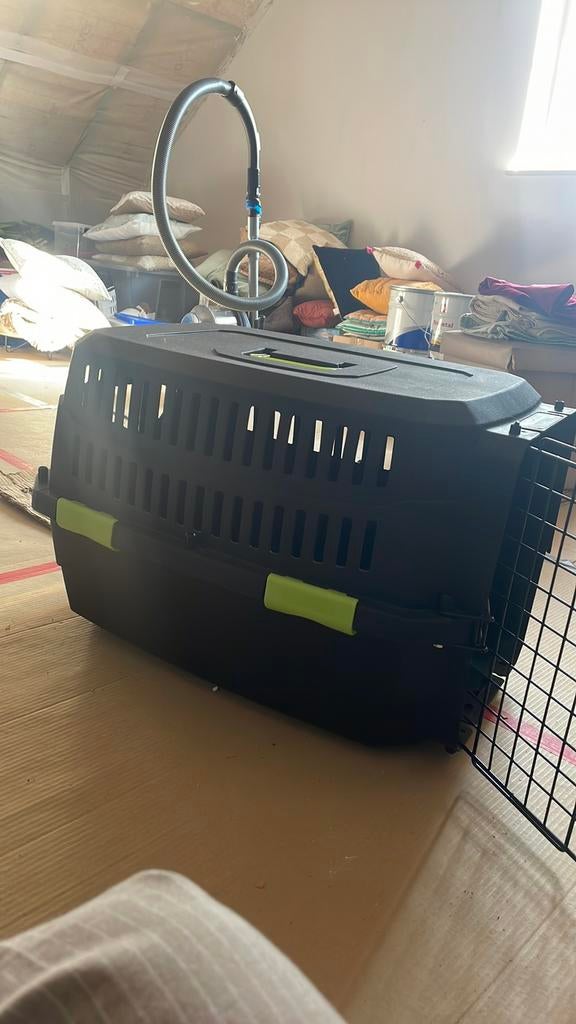 Honden mand, Dieren en Toebehoren, Ophalen, Zo goed als nieuw