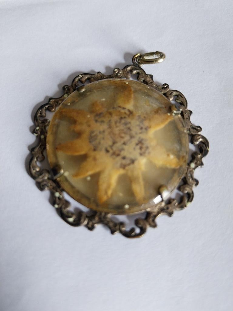 HANGER UIT 1920 MET GEDROOGDE EDELWEISS-BLOEM, Handtassen en Accessoires, Antieke sieraden, Ophalen of Verzenden, Zilver, Hanger