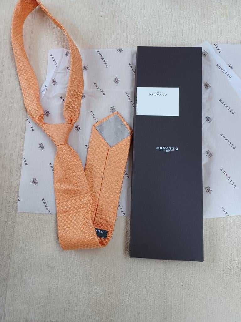 Stropdas Delvaux meloenkleur., Kleding | Heren, Stropdassen, Ophalen