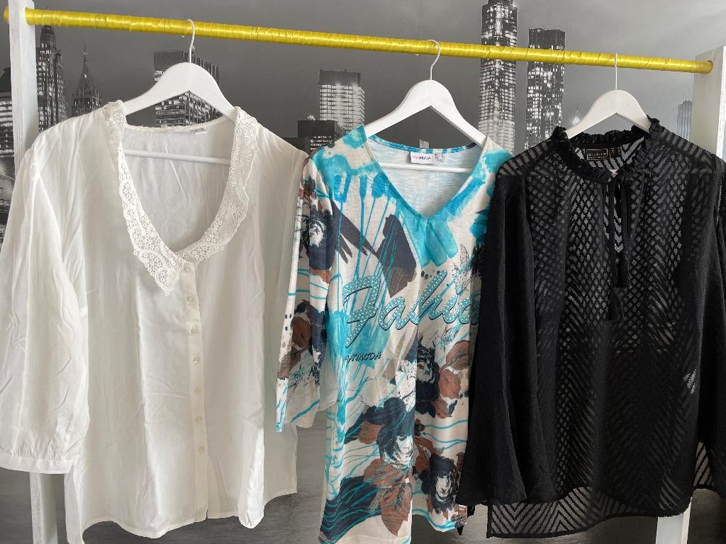 T-shirt en 2 blouses voor een prijsje - maat 48-50, Envoi, Comme neuf, Taille 46/48 (XL) ou plus grande