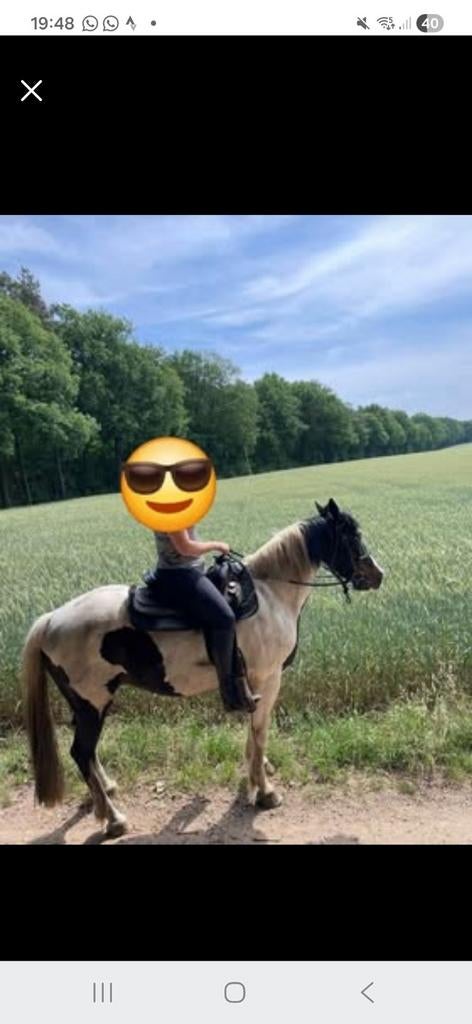 Halve stal/verzorgpaard, Enlèvement