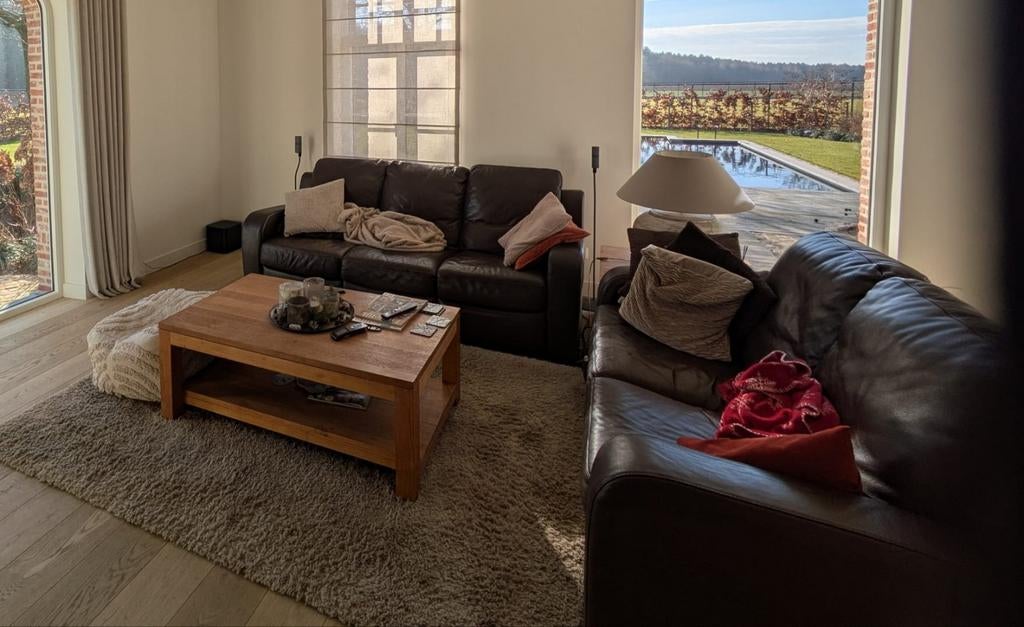 Salon bruin lederen - NATUZZI, Enlèvement