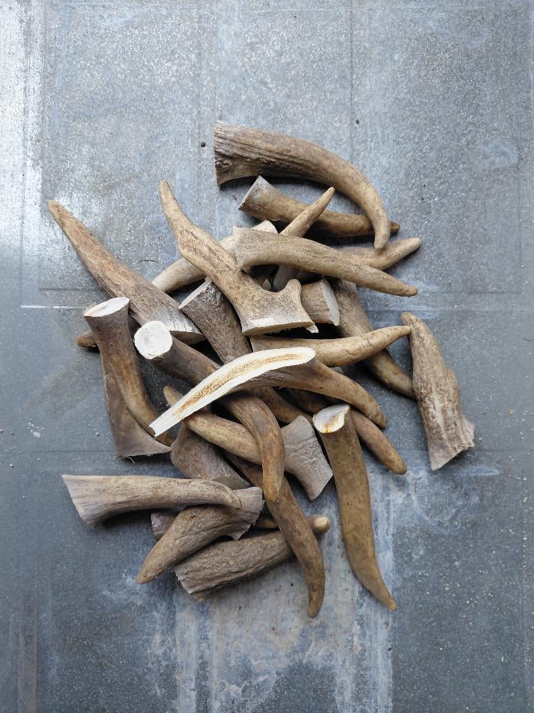 Os à mâcher naturels, Enlèvement ou Envoi, Neuf