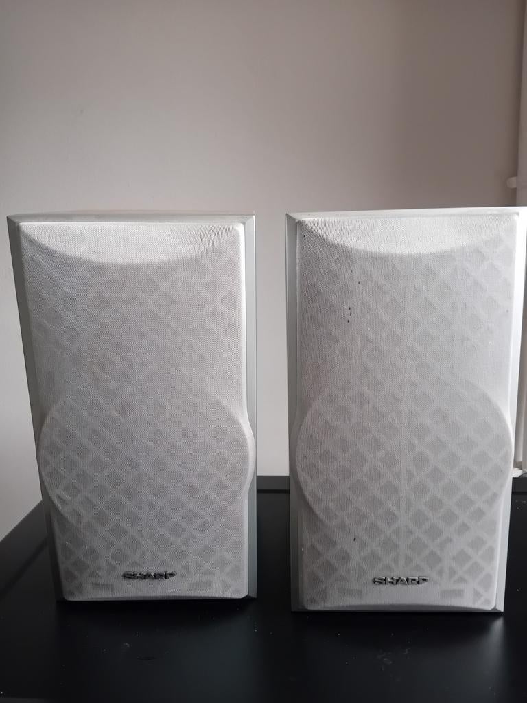 2 Enceintes Sharp 10w, TV, Hi-fi & Vidéo, Enceintes, Enlèvement ou Envoi, Utilisé, Moins de 60 watts