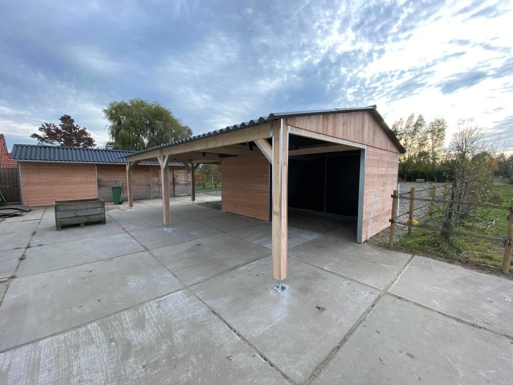 schuilstallen dubbelwandig, Weidegang, 2 of 3 paarden of pony's