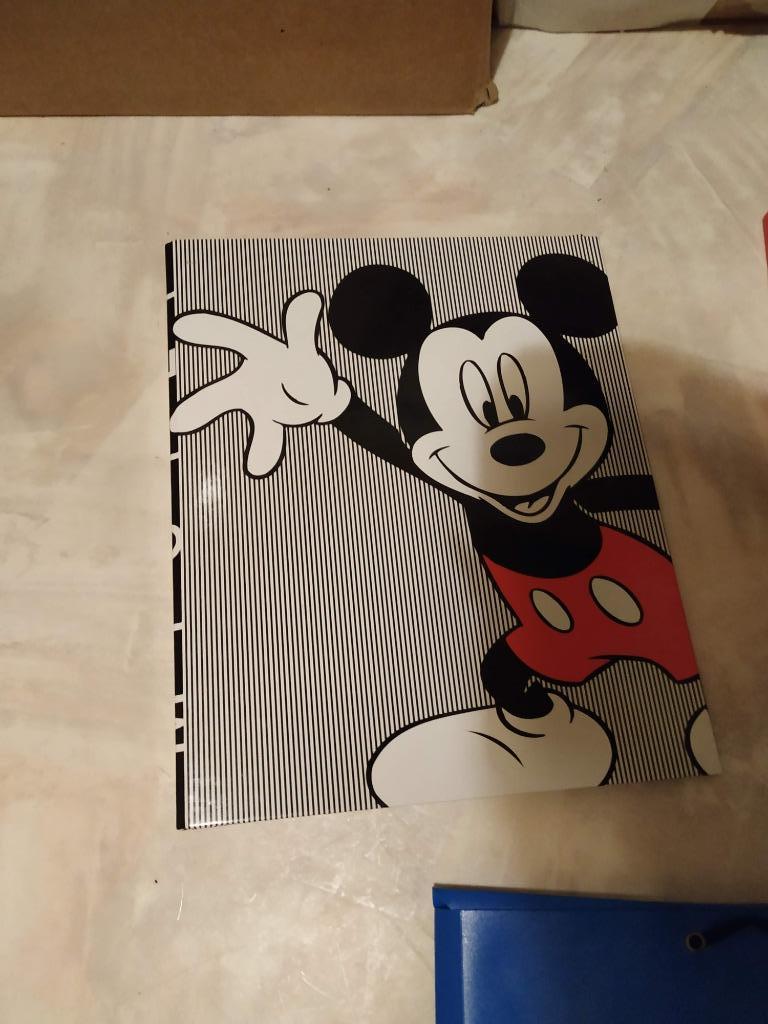 mickey map nieuw a4 formaat, Ophalen of Verzenden, Nieuw