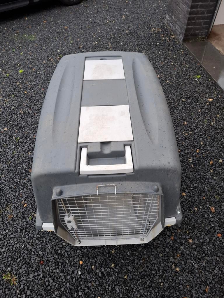 Autobench hond bench, Ophalen