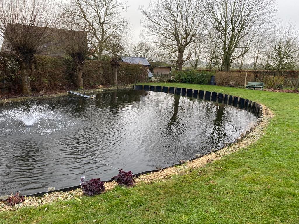 Vissen adoptie te anzegem, Dieren en Toebehoren, Vissen | Vijvervissen, Overige soorten