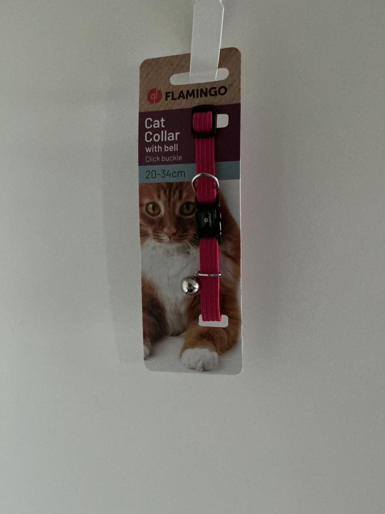 Kattenhalsband 20-34cm, Dieren en Toebehoren, Kattenhalsbanden en Penningen, Ophalen of Verzenden, Nieuw