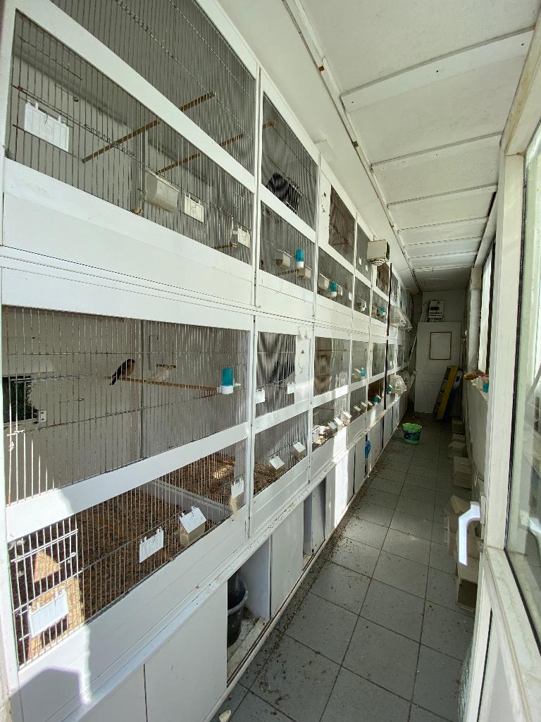 Kweekkooien in pvc, Ophalen, Zo goed als nieuw, Kunststof