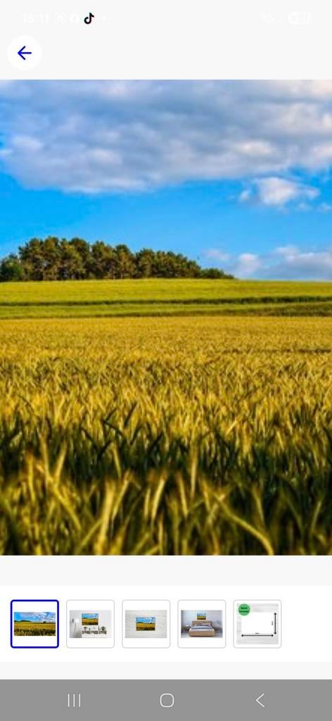 Betalingsrechten, Zakelijke goederen, Landbouw | Veevoer, Ophalen