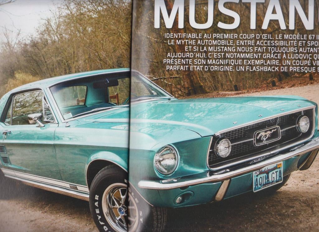 1967 For Mustang Coupé GTA voiture de collection, Envoi, Utilisé