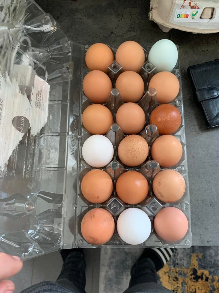 Verse bio eieren, Dieren en Toebehoren, Ophalen, Zo goed als nieuw
