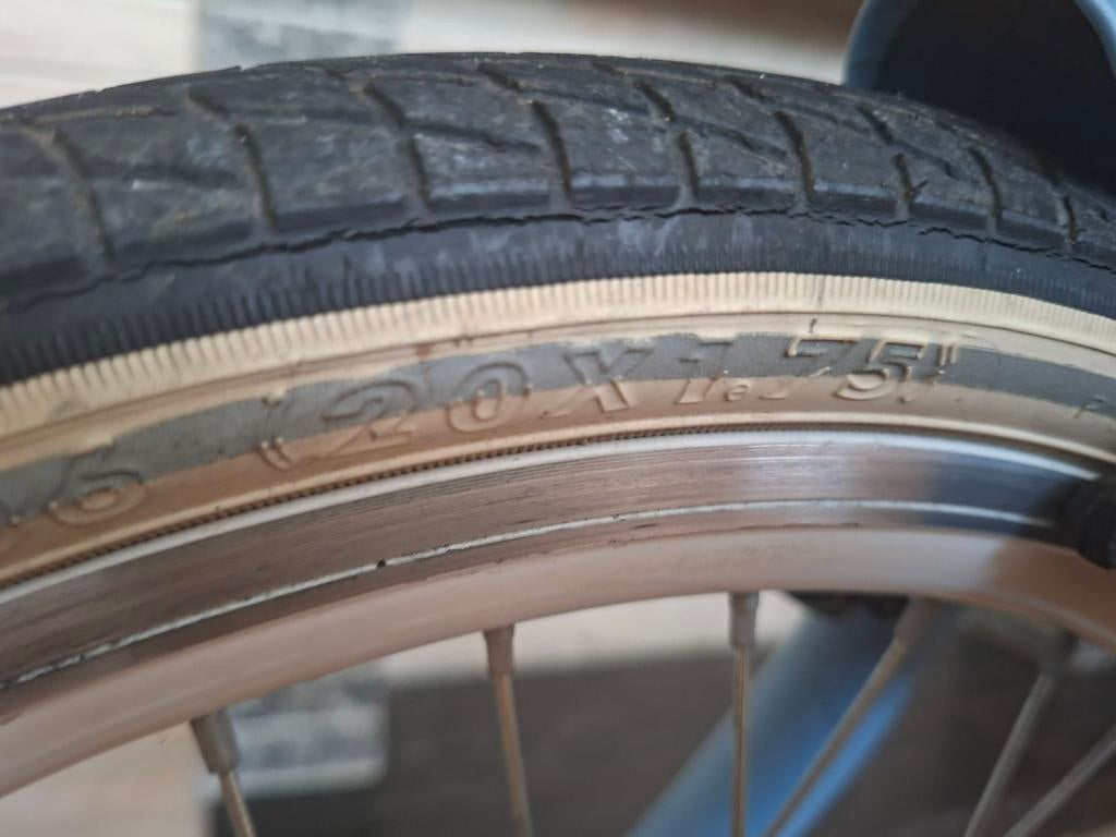 Alpina Girl Power 20 inch fiets, Ophalen, 20 inch