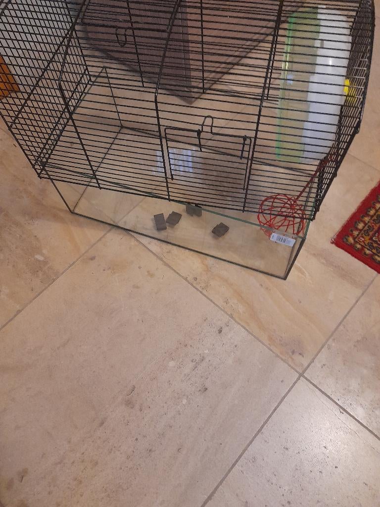 maison pour cobaye ou petit animal, Animaux & Accessoires, Enlèvement, Comme neuf, Cobaye