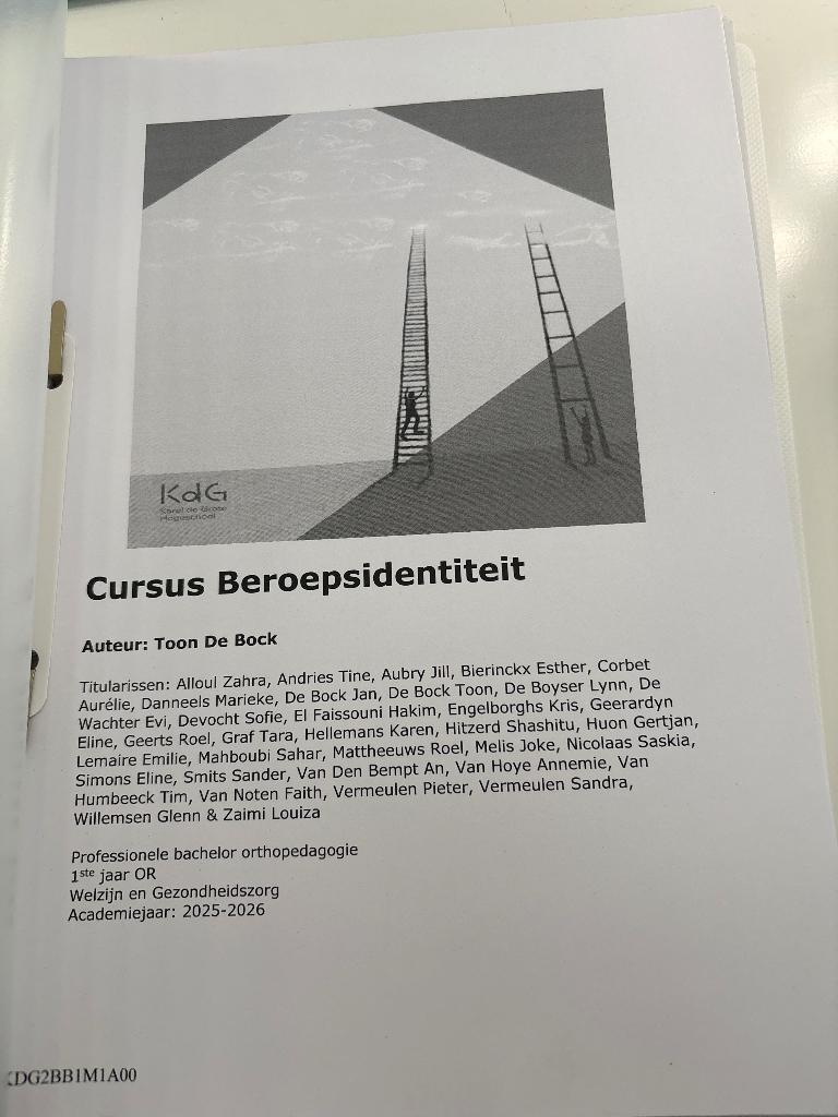 Cursus Beroepsidentiteit - orthopedagogie, Boeken, Studieboeken en Cursussen, Ophalen of Verzenden, Nieuw, Toon De Bock