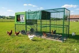 het eierenpaleis kippenhok kunststof