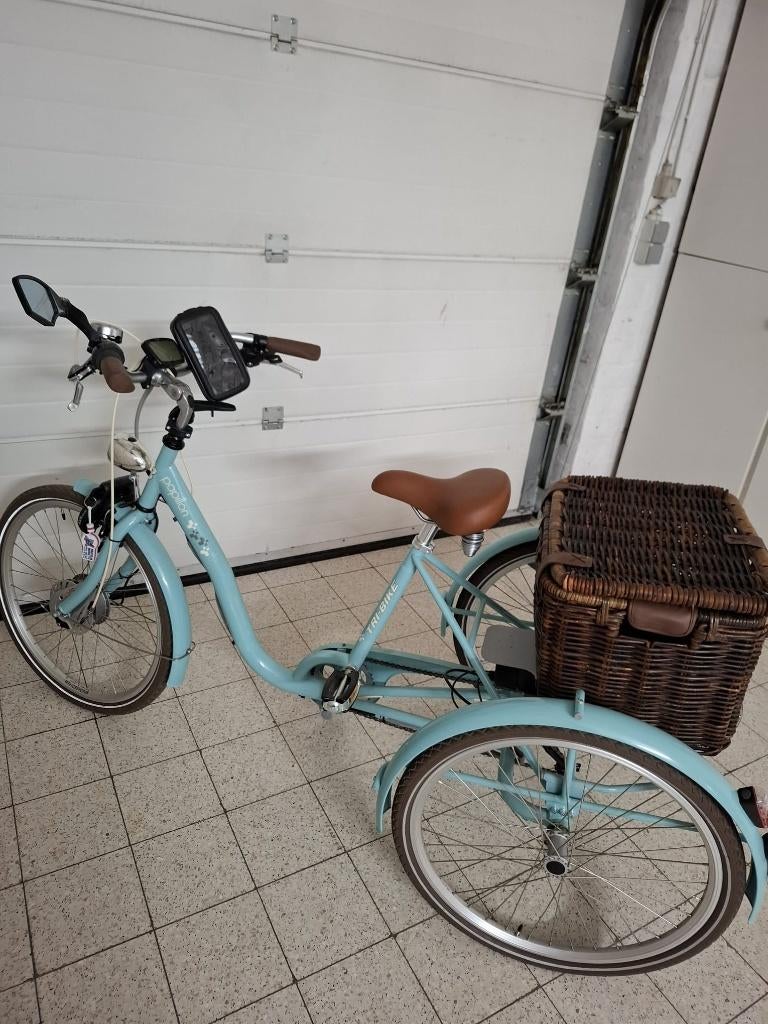 Tri-bike Papillon Classic S24 (elektrisch), Fietsen en Brommers, Fietsen | Driewielfietsen, Ophalen, Zo goed als nieuw, Tri-bike