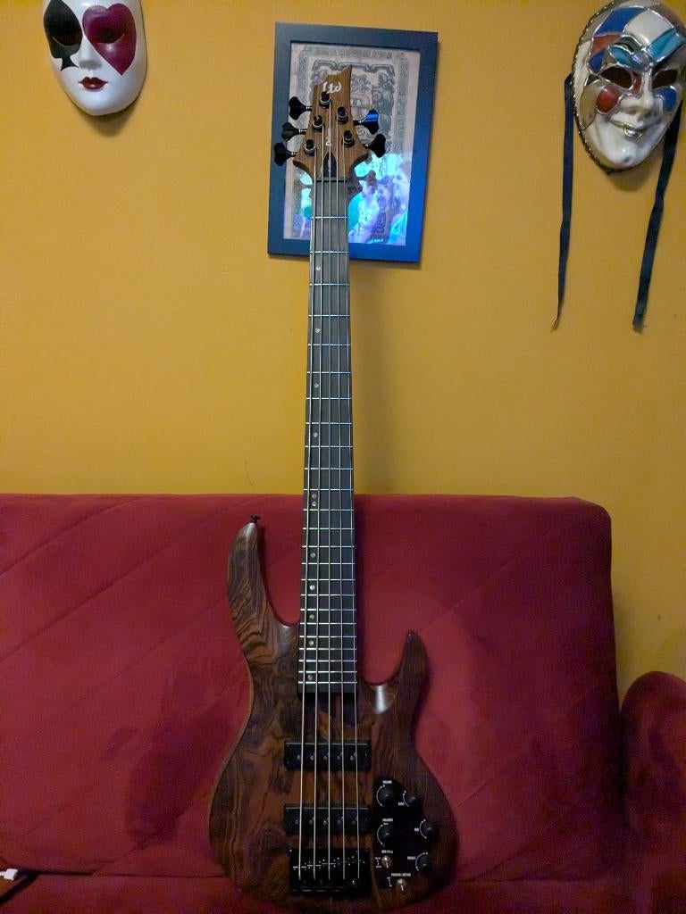 ESP LTD B-1005 NS, Musique & Instruments, Instruments à corde | Guitares | Basses, Neuf, Électrique, 5 cordes, Enlèvement