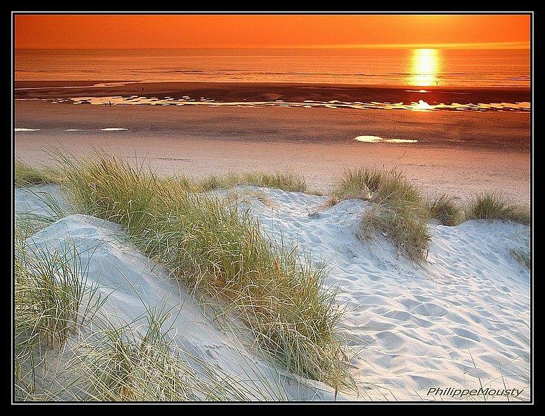 Cosy T2 à 250m de la plage BAie Somme/côte opale, Propriétaire, Village, Plaine de jeux, Lac ou rivière