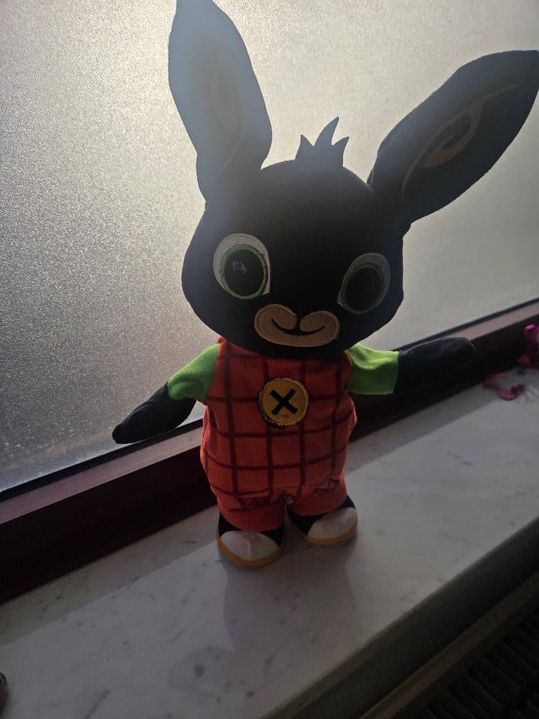 pratende BING knuffel, Ophalen