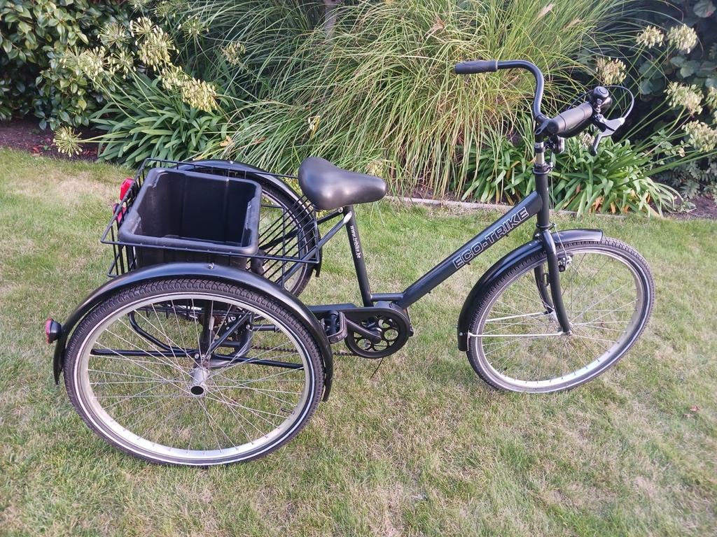 Driewieler  voor volwassen, Fietsen en Brommers, Fietsen | Driewielfietsen, Ophalen, Zo goed als nieuw, Tri Bike