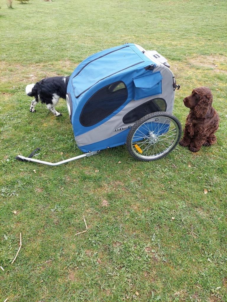 Honden fietskar, Enlèvement
