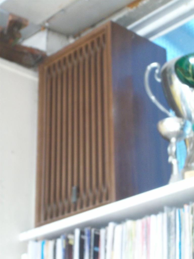 2 externe boxen voor een nsm prestige, Enlèvement ou Envoi, Comme neuf, Autres marques