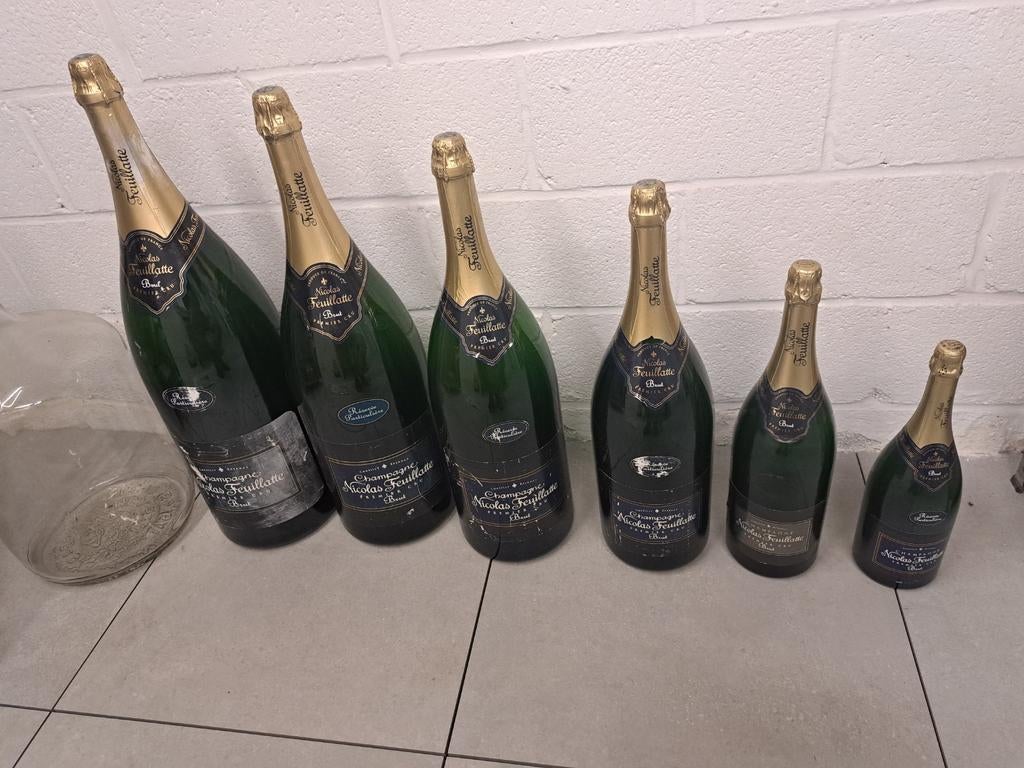 6 demo  dummy flessen champagne van 1 1/2 l tot 12 l, Enlèvement, Utilisé, France, Champagne