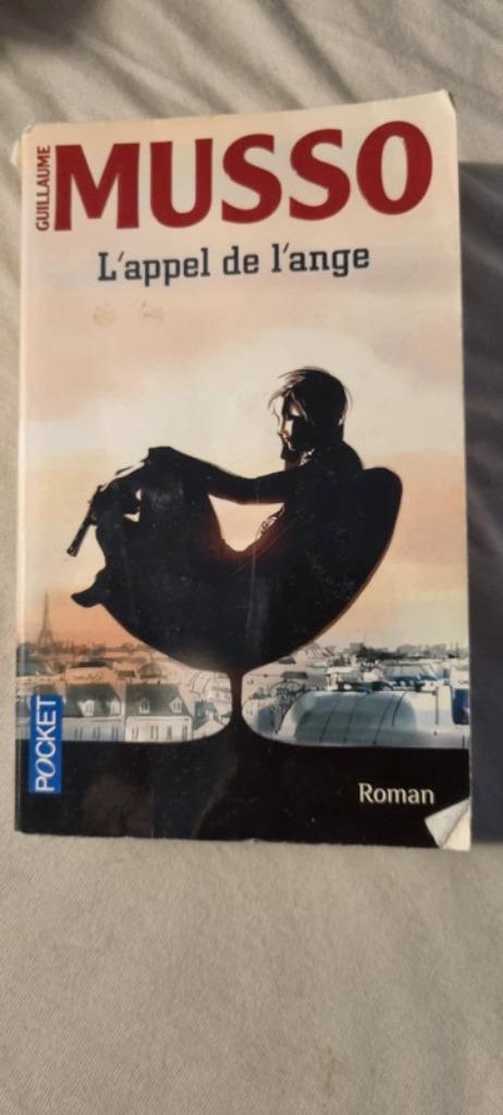 Musso, Livres, Enlèvement ou Envoi, Utilisé, Guillaume Musso, Europe autre