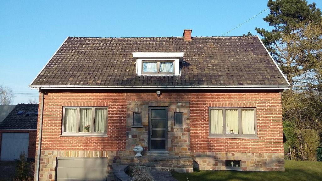 Dakdekker, Diensten en Vakmensen, Dakdekkers en Rietdekkers