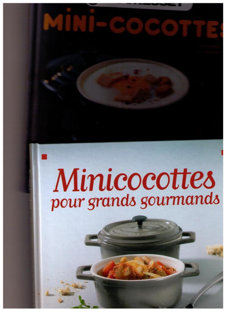 2 livres  de recettes avec des Mini cocottes, Enlèvement ou Envoi, Comme neuf