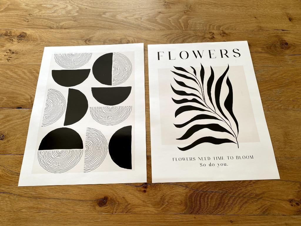 2 zwarte/witte posters A3 formaat, Verzamelen, Posters, Ophalen of Verzenden, Zo goed als nieuw, Rechthoekig Staand, Overige onderwerpen