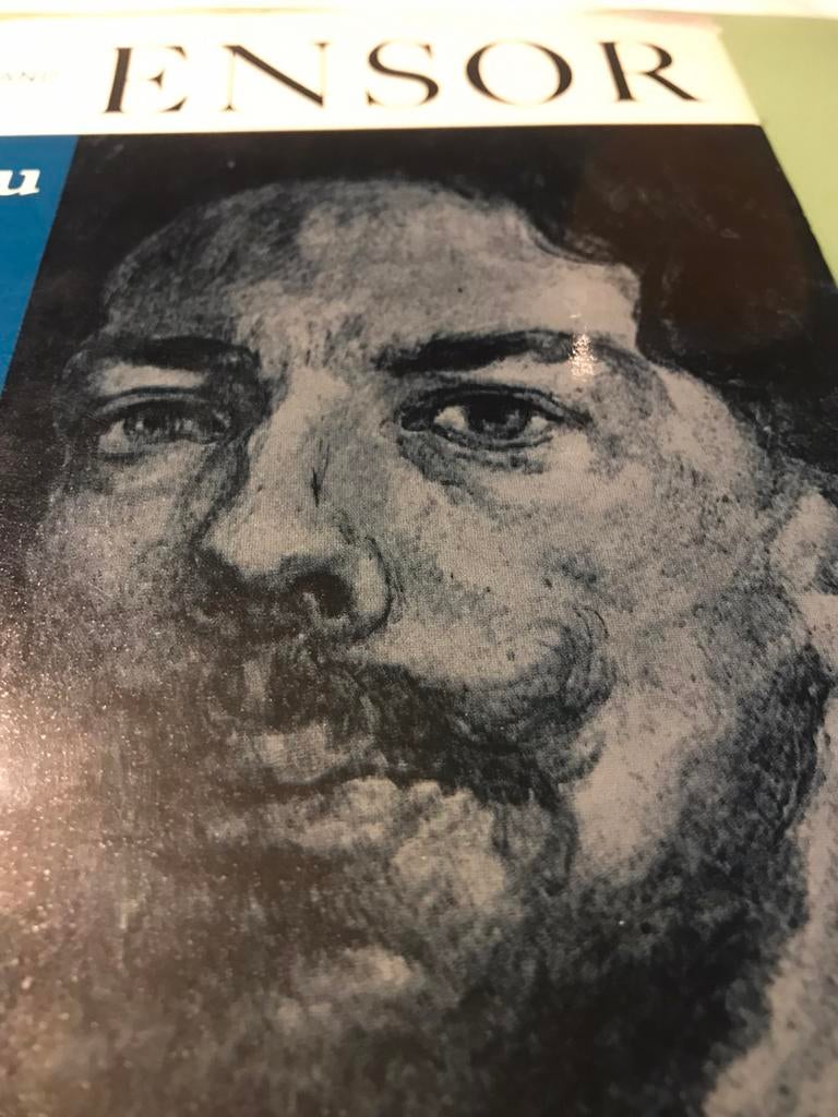 James Ensor Inconnu 140pages, Enlèvement ou Envoi, Comme neuf, Peinture et dessin