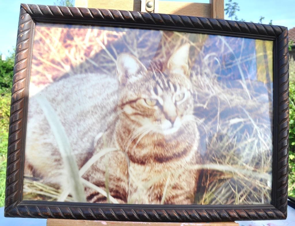 cadre tour bois sculpté avec photo de chat, Enlèvement ou Envoi, Utilisé, Bois