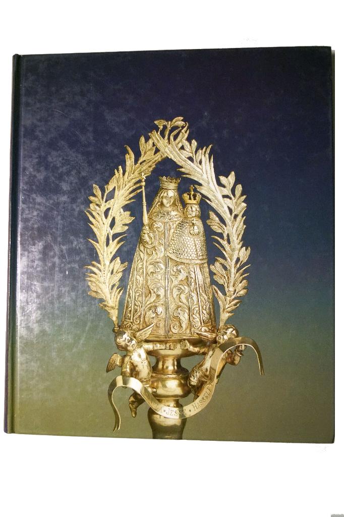 Virga Jesse, de Schat van de Hasselaar - G. Verbeek, Christendom | Katholiek, Ophalen of Verzenden, Zo goed als nieuw, G. Verbeek