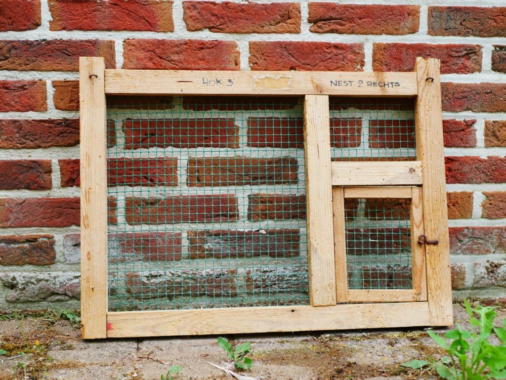 portes pour casiers pigeons, Dieren en Toebehoren, Vogels | Duiven, Meerdere dieren, Postduif