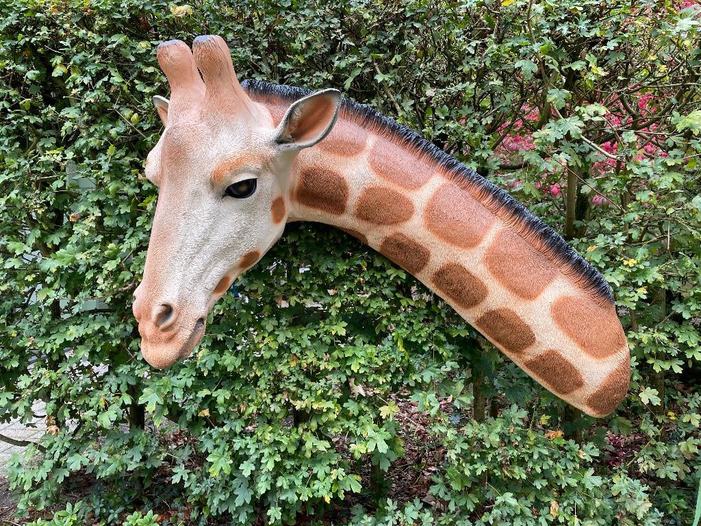 Giraf wand, babykamer, dieren 120 cm, Tuin en Terras, Ophalen, Nieuw, Kunststof, Dierenbeeld