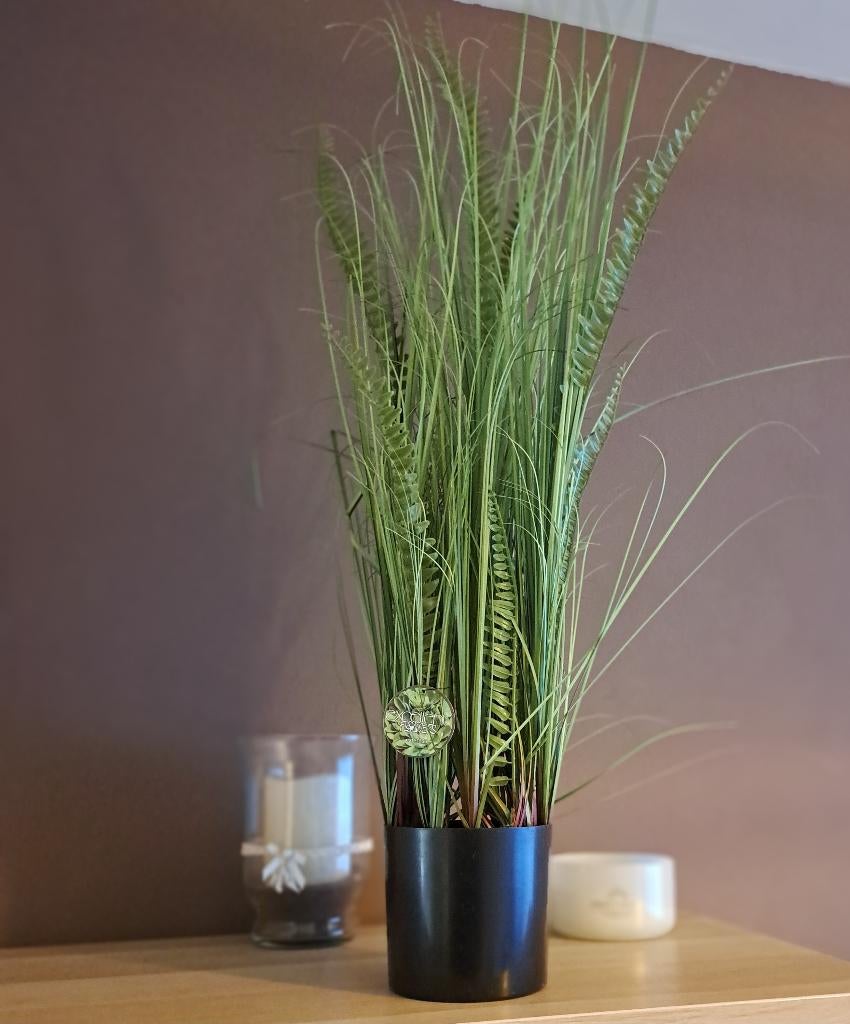 Kunstplant, Huis en Inrichting, Ophalen, Gebruikt, Binnen