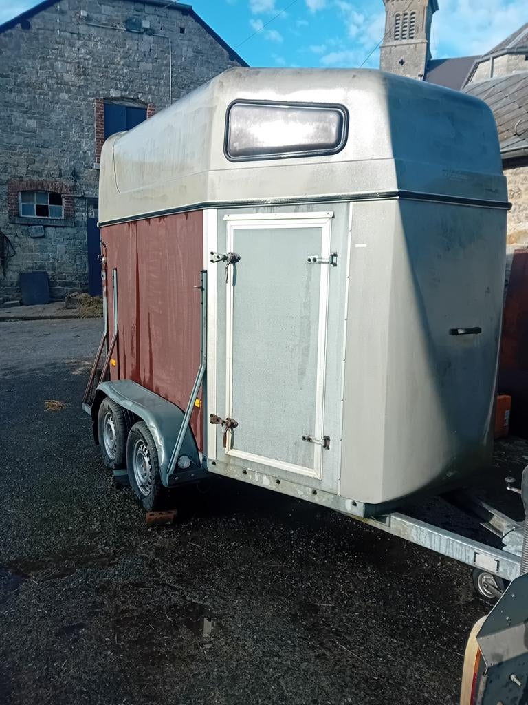 Van 2 chevaux Édouard année  2000