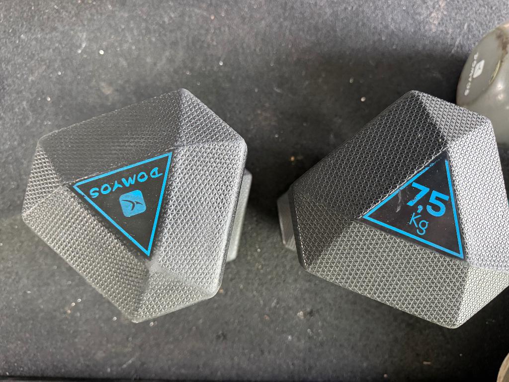 Halters Domyos 7,5kg, Sport en Fitness, Fitnessmaterialen, Ophalen, Gebruikt, Overige typen