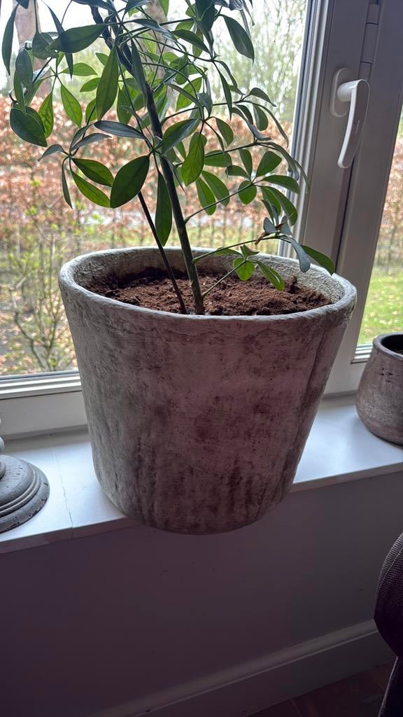 Twee grote plantenpotten Rastelli, Ophalen, Zo goed als nieuw, Binnen