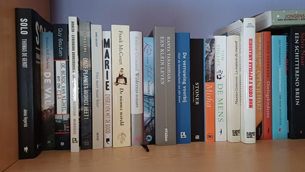 Diverse boeken te koop., Boeken, Stock en Verzamelingen, Gelezen, Verschillende onderwerpen, Ophalen of Verzenden