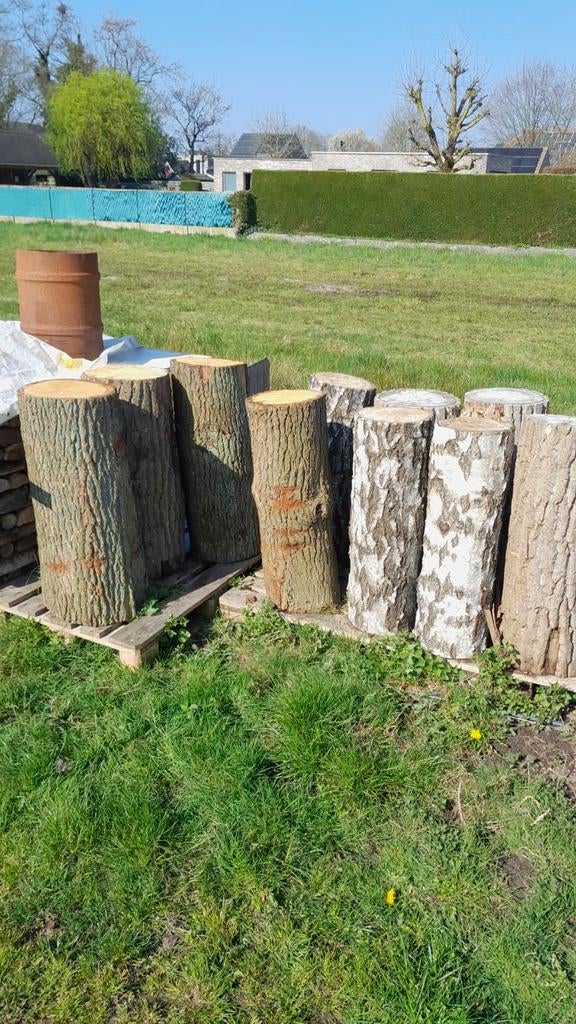 Nagelblokken verschillende houtsoorten 90 cm hoog te koop, Tuin en Terras, Brandhout, Ophalen